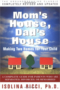 moms house dads house - parenting book